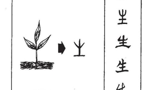羊胆的功效吃法大全-羊胆的功效吃法网羊胆的功效吃法大全知识网站,分享羊胆的功效与作用大全